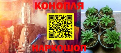 ешки Лесосибирск