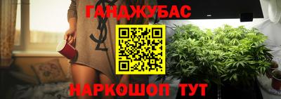гашик Кулебаки