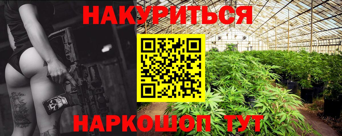 Кириши  Бошки марихуана тримм  Вход с VPN  Канабис OG Kush  МАРИХУАНА сатива 